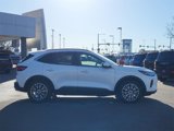 Used 2023 Ford Escape SE w/ PHEV Premium Package image 2