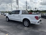 Used 2013 Ford F150 Platinum image 4