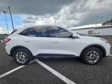 Used 2020 Ford Escape SE image 4