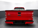 Used 2013 Ford F150 STX w/ Mid Equipment Group image 5