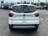 Used 2019 Ford Escape SE image 5
