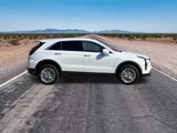 New 2025 Cadillac XT4 Premium Luxury image 4
