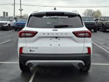 Certified 2024 Ford Escape Active w/ Cold Weather Package image 5