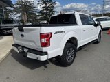 Used 2020 Ford F150 XLT w/ Equipment Group 301A Mid image 3
