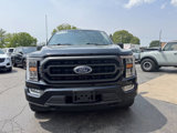 Used 2022 Ford F150 XLT image 4