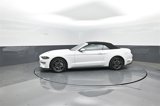 Certified 2023 Ford Mustang Premium image 4