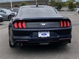 Used 2021 Ford Mustang Coupe w/ Equipment Group 101A image 5