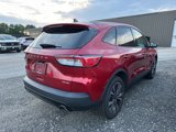 Used 2021 Ford Escape SE w/ SE Sport Appearance Package image 4