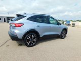 Used 2022 Ford Escape SE w/ SE Sport Appearance Package image 3