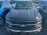 New 2025 Ford F150 XLT w/ Equipment Group 302A MID image 6