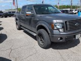 Used 2011 Ford F150 FX4 w/ FX Luxury Pkg image 2