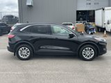 Certified 2020 Ford Escape SE image 3