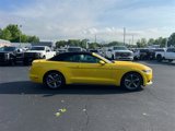 Used 2015 Ford Mustang Convertible w/ Equipment Group 051A image 4