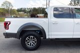 Used 2017 Ford F150 Raptor w/ Equipment Group 802A Luxury image 5