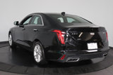 Used 2022 Cadillac CT4 Luxury w/ Sun And Sound Package image 3