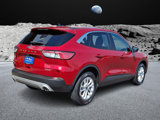 Certified 2022 Ford Escape SE w/ Convenience Package image 6