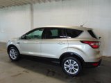 Used 2017 Ford Escape SE w/ SE Cold Weather Package image 4