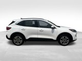Certified 2020 Ford Escape SEL image 2