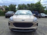Used 2020 Ford Escape SE image 2