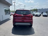 Used 2019 Ford Escape SE image 3
