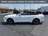 Used 2023 Ford Mustang Premium w/ Equipment Group 201A image 2