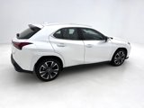 Used 2025 Lexus UX 300h AWD image 6