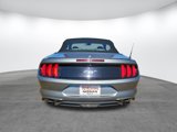 Used 2022 Ford Mustang Premium image 6