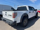 Used 2014 Ford F150 Raptor w/ Equipment Group 801A Luxury image 4