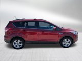 Used 2016 Ford Escape SE w/ Equipment Group 201A image 6