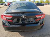 Used 2019 Honda Accord Sport image 4