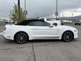 Used 2020 Ford Mustang Premium w/ Equipment Group 201A image 4
