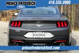 New 2025 Ford Mustang Coupe image 4