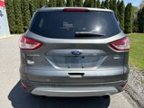 Used 2014 Ford Escape SE w/ Equipment Group 201A image 4