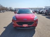 Used 2021 Ford Escape SEL w/ Technology Package image 3