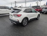 Certified 2020 Ford Escape SEL image 5