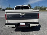 Used 2011 Ford F150 Platinum image 2
