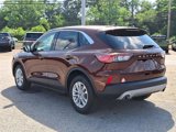 Certified 2021 Ford Escape SE w/ Cold Weather Package image 4