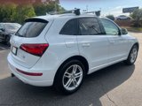 Used 2014 Audi Q5 TDI Premium Plus image 5