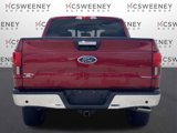 Used 2019 Ford F150 XLT w/ Equipment Group 302A Luxury image 4
