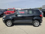 Used 2020 Ford EcoSport SE image 4