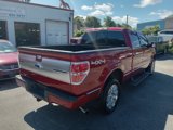 Used 2014 Ford F150 Platinum image 3