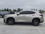 Used 2023 Lexus NX 350 AWD image 2