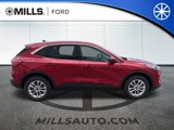 Used 2020 Ford Escape SE image 3