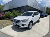 Certified 2019 Ford Escape SE image 4