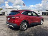 Used 2020 Ford Escape SE image 4