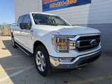 Used 2021 Ford F150 XLT w/ Equipment Group 302A High image 2