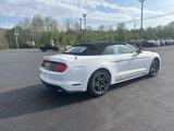 Used 2022 Ford Mustang Premium image 3