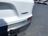 Used 2019 Jeep Cherokee Latitude w/ Cold Weather Group image 6