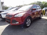 Used 2016 Ford Escape SE w/ SE Leather Comfort Package image 3
