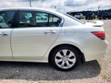 Used 2009 Honda Accord EX-L image 5